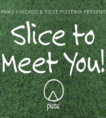 PAWS CHICAGO