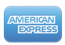 amex payment