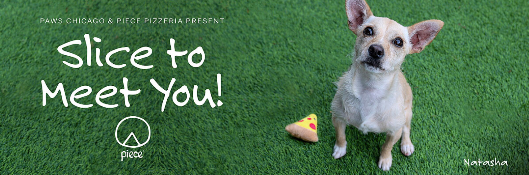slice to meet you PAWS CHI