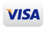 visa payment